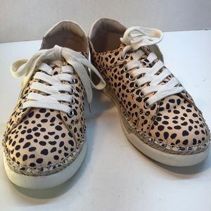 Dolce Vita MADOX Leopard Print Sneakers Size 6.5
